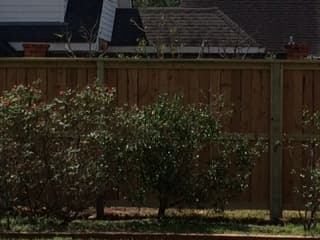 Cedar privacy fence install in CENLA