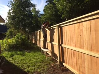 Cedar privacy fence backyard
